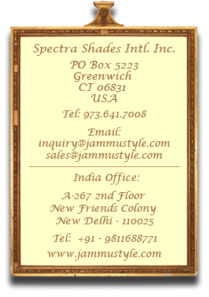 Contact Info